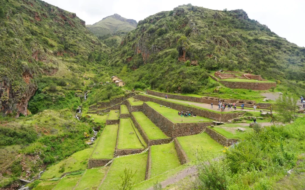 Pisac Town and Incredible Inca Site this 2025 - 2026 4 pisac-farming-terraces-sparrow-explorer-travel